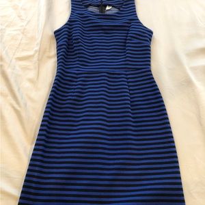 Black/Blue Stripe Skater Dress